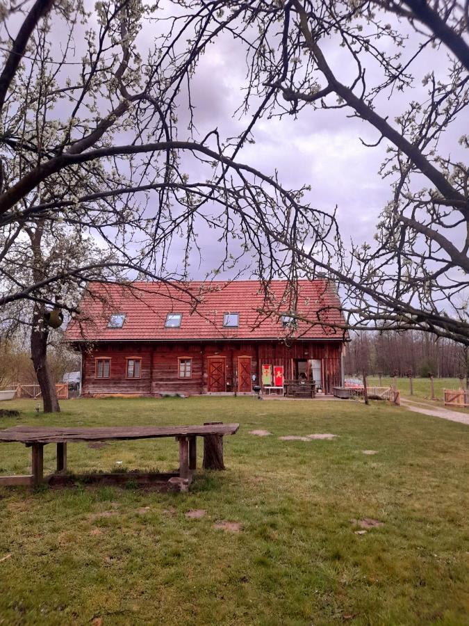 Apartamento Liljas Haus Im Spreewald Burg  Exterior foto